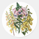Recherche de renard vintage autocollants Botanique