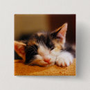Recherche de sommeil badges Animaux de bébé