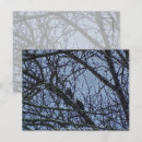Recherche de compagnon cartes postales Faune