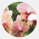 Recherche de hybrides autocollants Nature