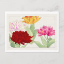 Recherche de pivoine japonaise Floral