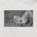 Suche nach hartriegel visitenkarten Blumen