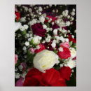 Suche nach nelken poster Bouquet