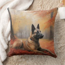 Recherche de malinois belges coussins Dog