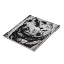 Suche nach kekse fliesen Nahrung