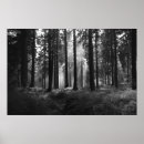 Suche nach bayerischer wald andere poster Natur