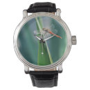 Recherche de dehors montres Plante