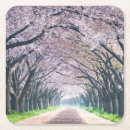 Suche nach kirschbaum untersetzer Kirschblüte