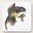 Recherche de poisson rouge dessous de verres Carré