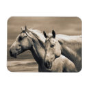 Suche nach großes pferd magnete Ranch