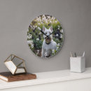 Recherche de terriers horloges Animal