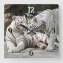 Recherche de tigre blanc horloges Tigres blancs