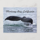 Recherche de whale cartes postales Ocean