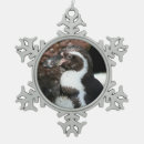 Recherche de pingouin ornements Oiseau