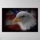 Suche nach american eagle poster Flagge