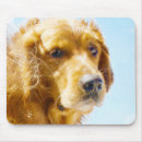 Recherche de compagnon animal tapis souris Chien