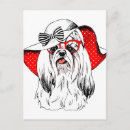 Suche nach lustige yorkie postkarten Hund