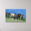 Suche nach mustangs leinwandbilder Gruppe
