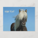 Suche nach blaues pony poster Tier