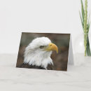 Suche nach weißkopfseeadler karten Amerikanisch