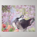 Suche nach hundeplakate poster Druck