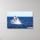 Suche nach kabeljau leinwandbilder Wasser