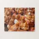 Suche nach huhn puzzle Hahn