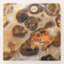 Recherche de leopard dessous de verres Couleur