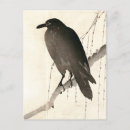 Suche nach der rabe postkarten Vogelvogel