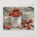 Suche nach rote erdbeeren postkarten Essen
