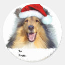 Suche nach collies aufkleber Weihnachten