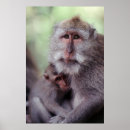 Suche nach indonesia poster Bali