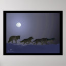 Recherche de loup de nuit posters Loups