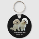 Recherche de bichon porteclés Frise de bichon