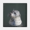 Suche nach seelöwe magnete Tiere