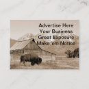 Suche nach bison visitenkarten Wyoming