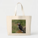 Recherche de roches messenger sacs Saisonnier