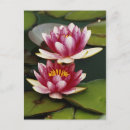 Suche nach hybrider postkarten Blume