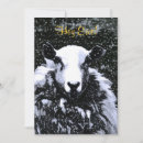 Recherche de sheep invitations Animaux de ferme