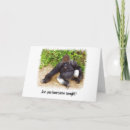 Suche nach gorilla karten Spaß