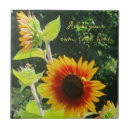 Recherche de tournesols carreaux Automne