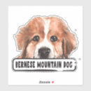 Recherche de bernese mountain dog Aquarelle