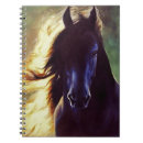 Recherche de cheval frison bureau école Poulain