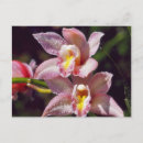 Recherche de macro photo cartes postales Jardin