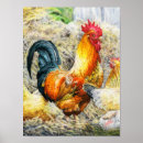 Suche nach bunte federn poster Huhn