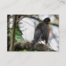 Suche nach vogelbeobachter visitenkarten Vögel
