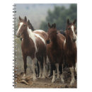 Suche nach mustang kleine notizbücher Foto