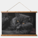 Recherche de de chat persan art Chats