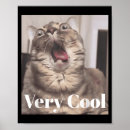 Suche nach coole katzen poster Lustige katze
