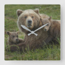 Recherche de brun horloges Ours